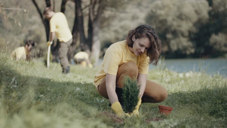 Best Lawn Maintenance Plans  in Garrison, MD